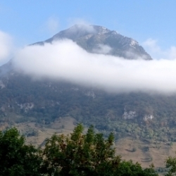 Lainoa