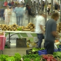Zerkausia
