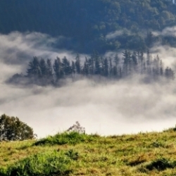 Behe-lainoak gora