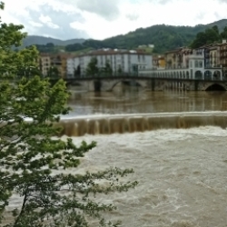 Oria gainezka